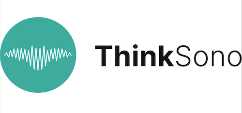 Lower Limb endovascular symposium Think Sono Logo